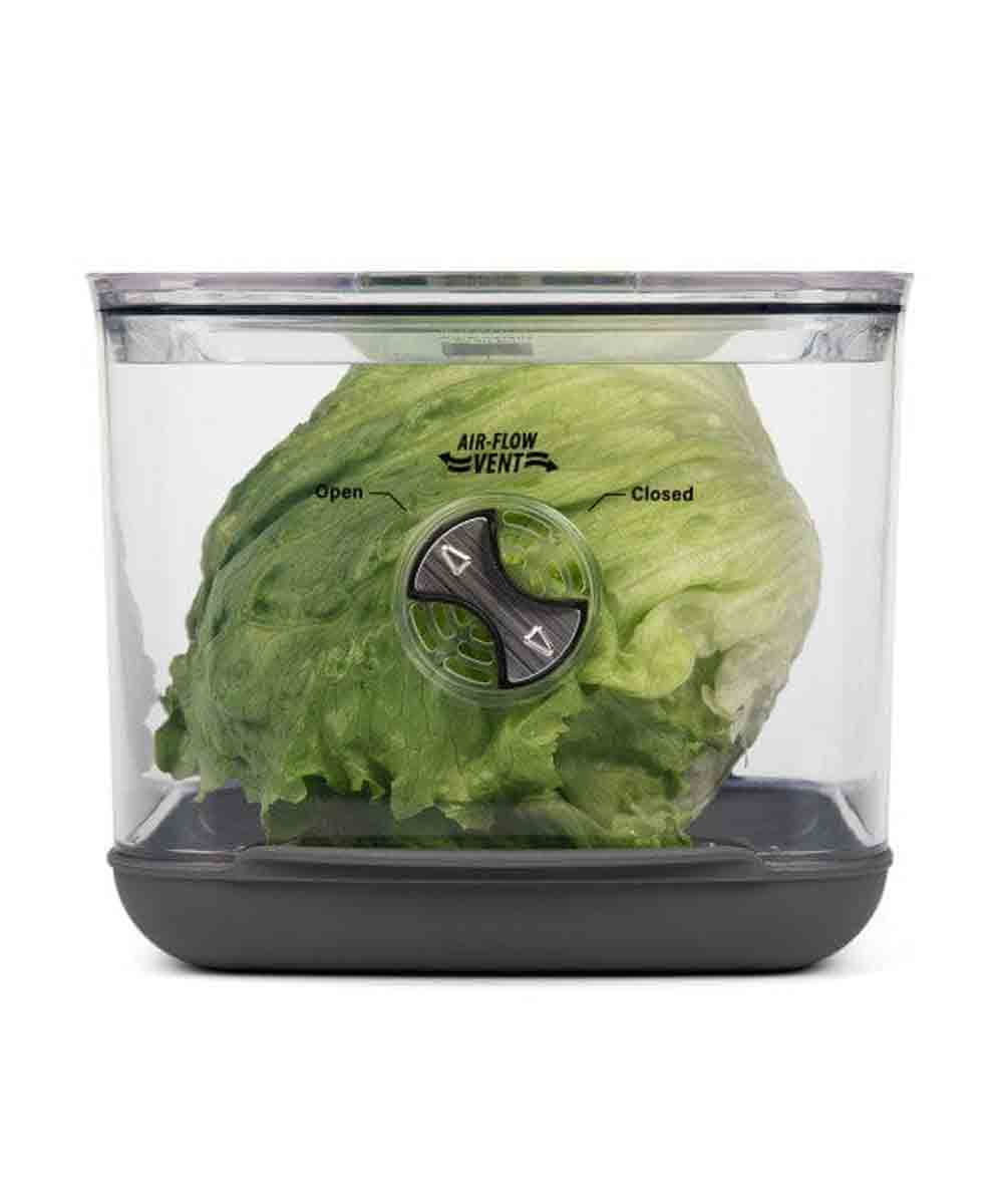 Progressive Square Produce Food Storage Prokeeper+