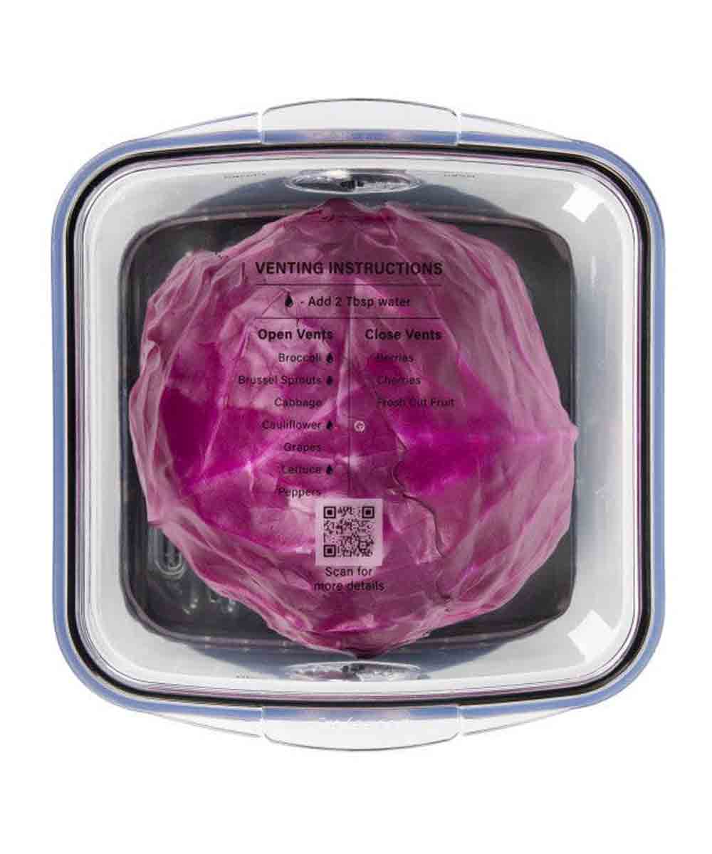 Progressive Square Produce Food Storage Prokeeper+