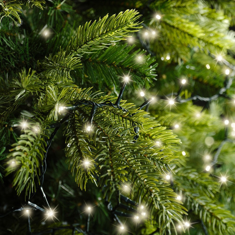 Kaemingk LED Compact Lights – 8 Function Twinkle Effect, Warm White, 2000 Bulbs, Christmas Holiday Decoration, Festive Xmas Tree or Home Accent, Indoor & Outdoor Seasonal Lighting