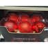 Koopman Christmas Ball, Xmas Ornament, Holiday Seasonal Decoration for Tree, Home, Office, Party, Tabletop & Festive Display, – 140mm Red Assorted 1 Piece