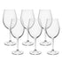 Crystal Bohemia Sylvia Red Wine Glass, Premium Crystal Glassware, Elegant Wine Goblets for Dining, Parties & Gift, Set of 6 – 580ml