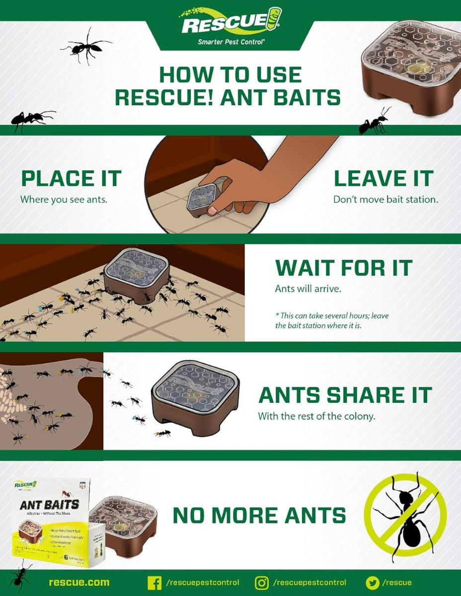 Rescue Ant Baits 4 Bait