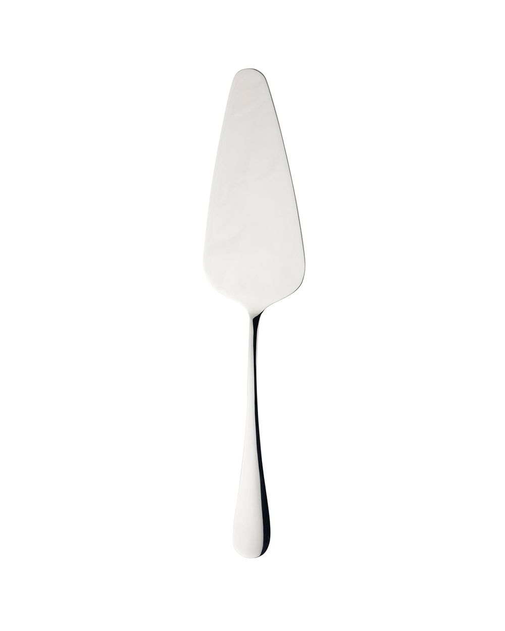 Taylors Eye Witness Stainless Steel Cake Server