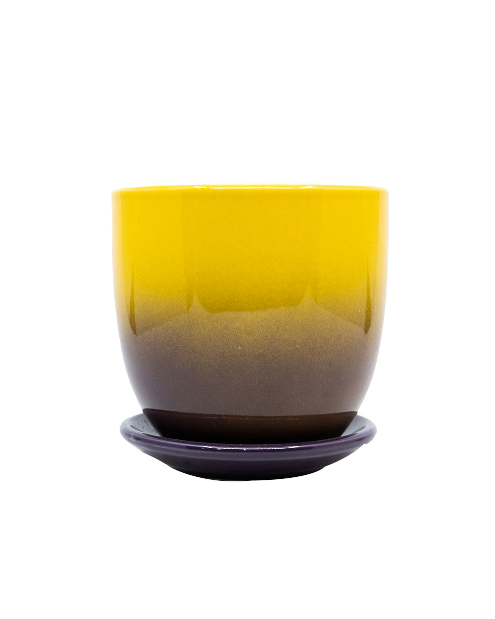 Yinggao Ceramic Pot And Saucer 12.5cm Yellow