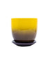 Yinggao Ceramic Pot And Saucer 12.5cm Yellow