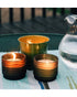 Tiki 17oz Lavish Woodland Citronella Wax Candle Assorted 1 Piece
