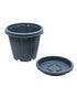 Cosmoplast Pot-Woodgrain 8inch Whit Tray Grey