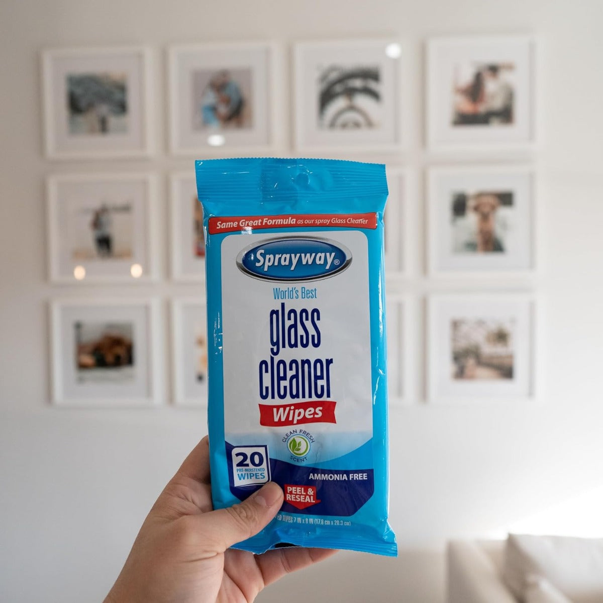 Sprayway Ammonia-Free Glass Cleaner Wipes Fresh Scent 20 Count