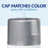 Rust-Oleum Pt 2X Uc Metal Aluminum 12Oz