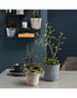 SK Delphi Flower Pot 16cm Blue Grey