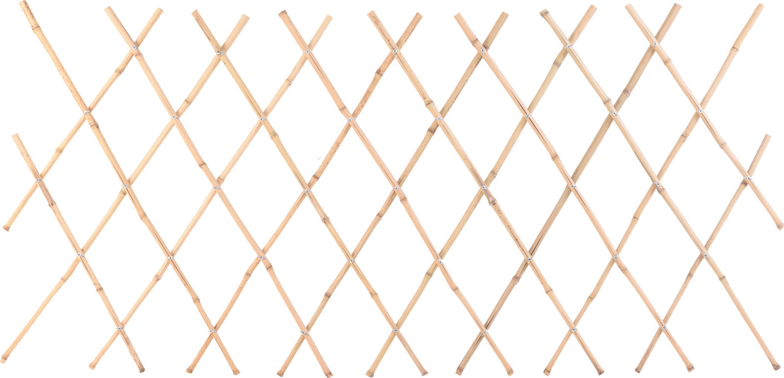 Homesmiths Bamboo Fence For Plants