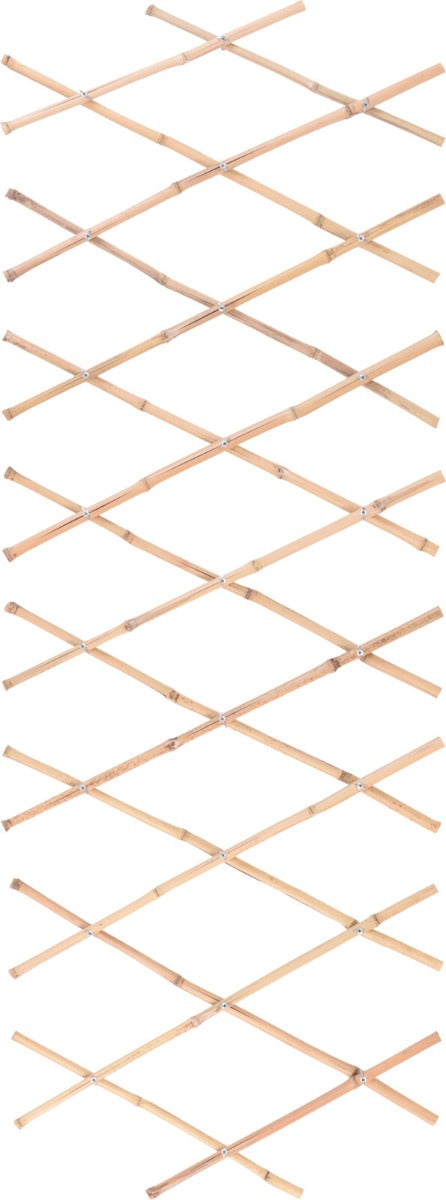 Homesmiths Bamboo Fence For Plants