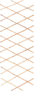 Homesmiths Bamboo Fence For Plants