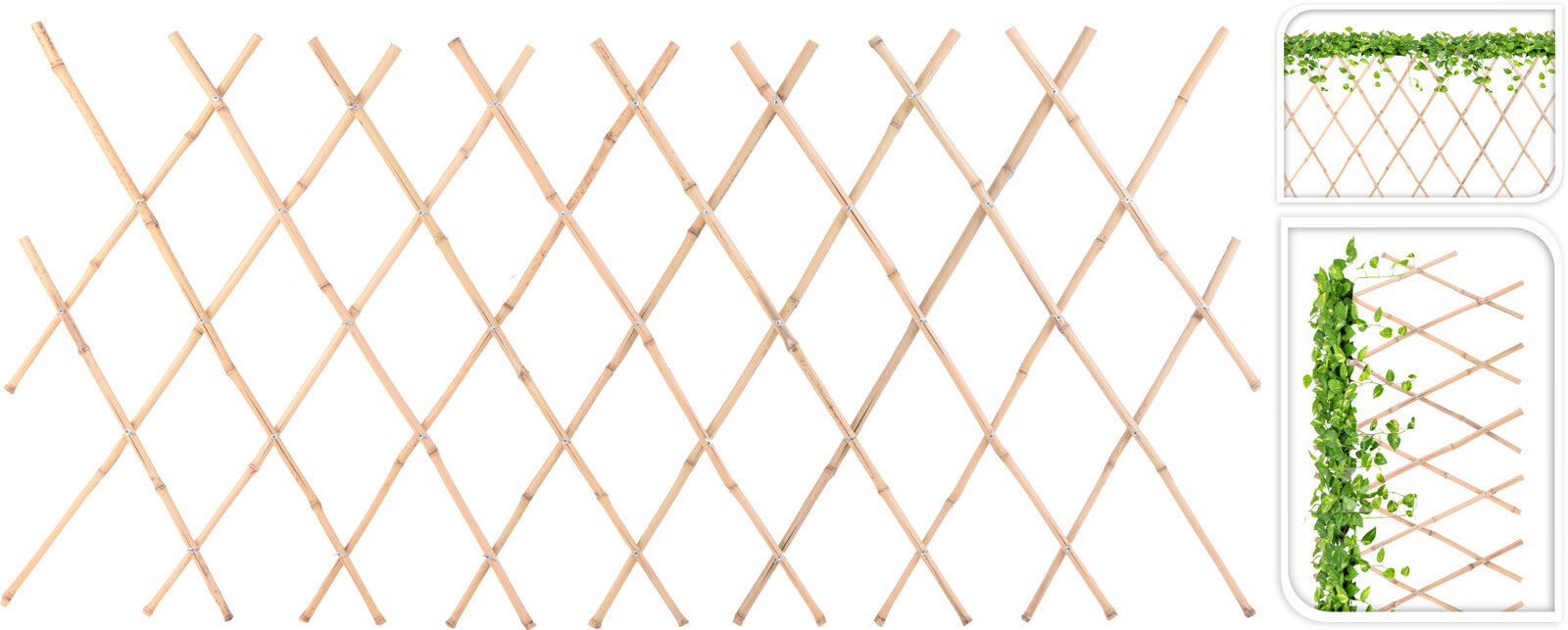 Homesmiths Bamboo Fence For Plants