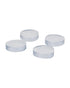 Wenko Door & Wall Buffers, Transparent 4 pieces