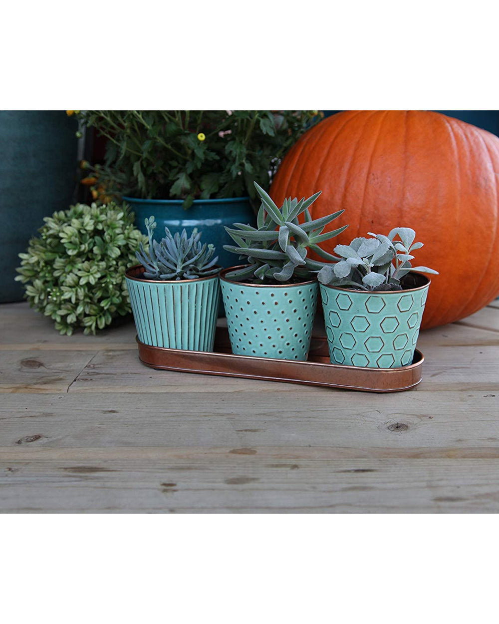 Robert Allen Concord Set 6 inch Pot with Tray Copper Patina