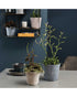 SK Delphi Flower Pot 20cm Blue Grey