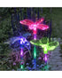 Exhart Solar Acrylic Butterfly Garden Stake