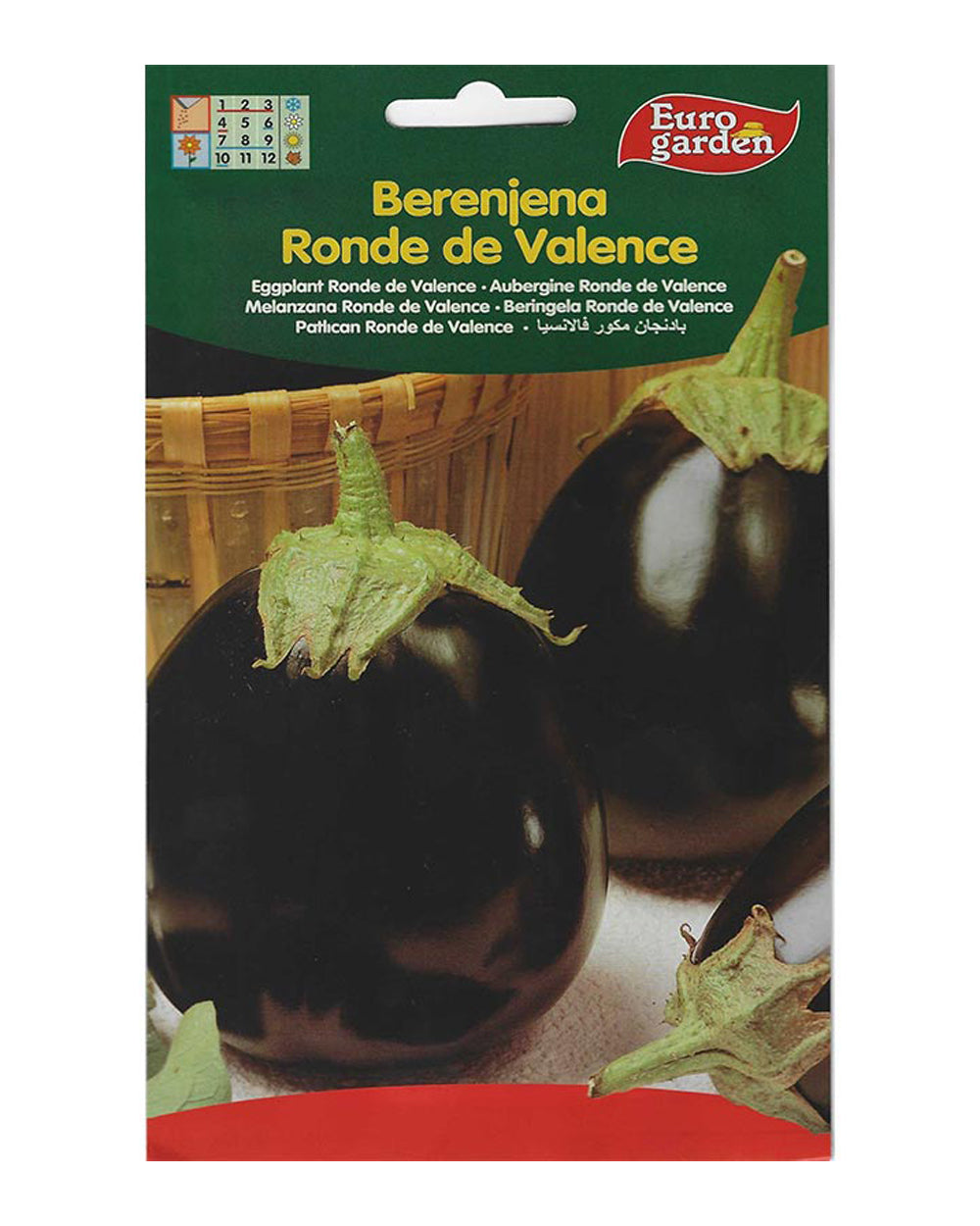 Euro Garden Eggplant Round