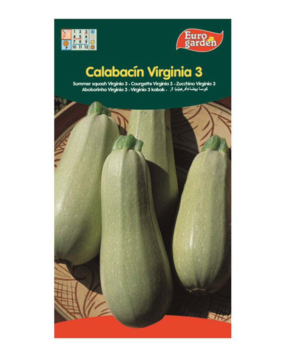 Euro Garden Summer Squash Virginia