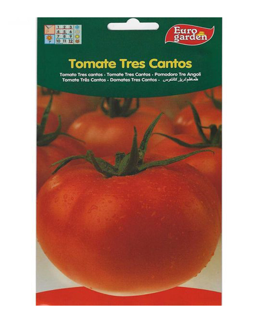 Euro Garden Tomato Big