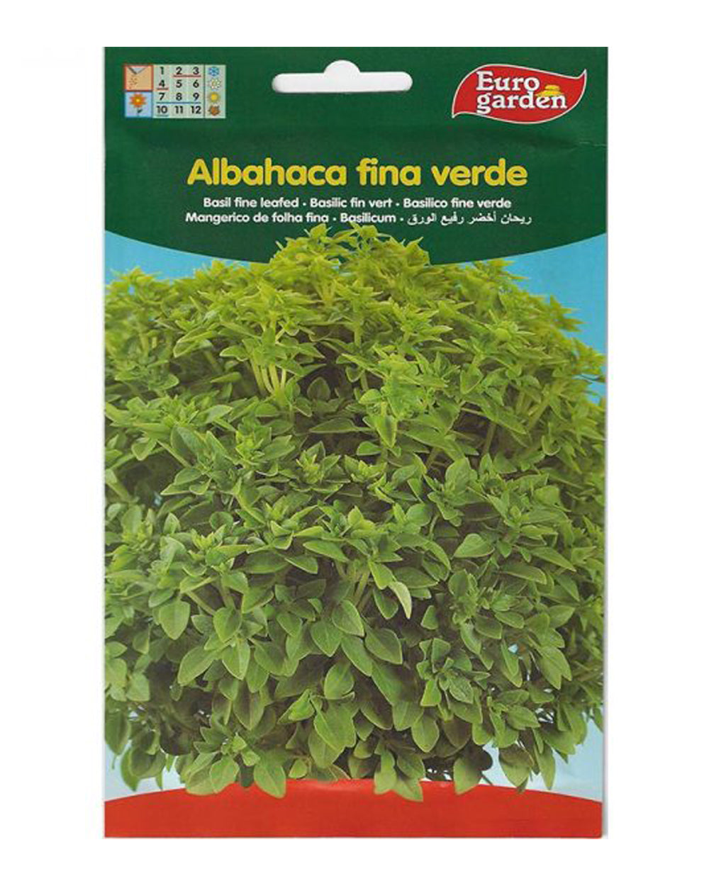 Euro Garden Basil Fine Leafed Premium Quality Seeds