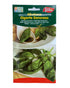 Euro Garden Genovesa Giant Basil Premium Quality Seeds