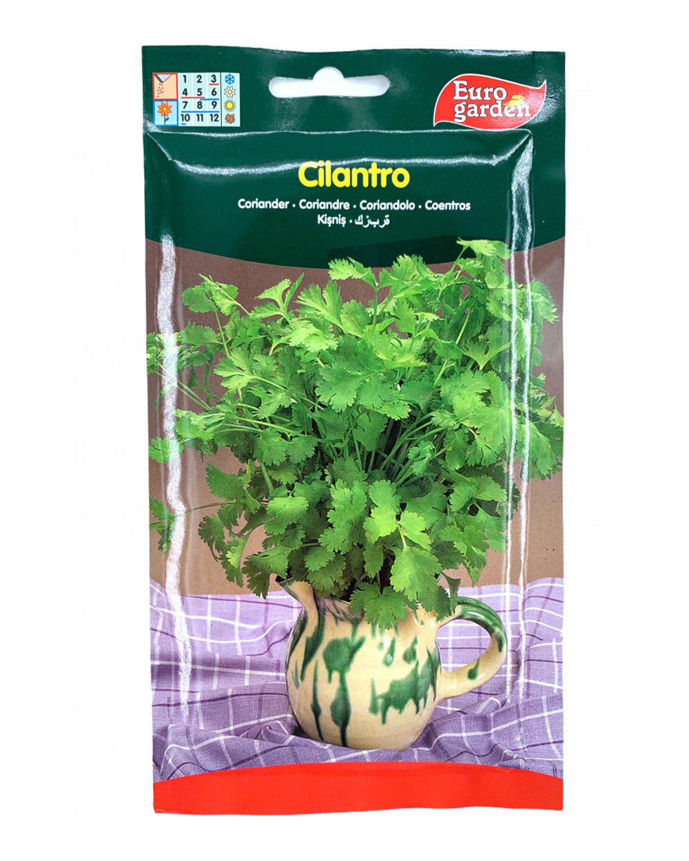 Euro Garden Coriander seeds