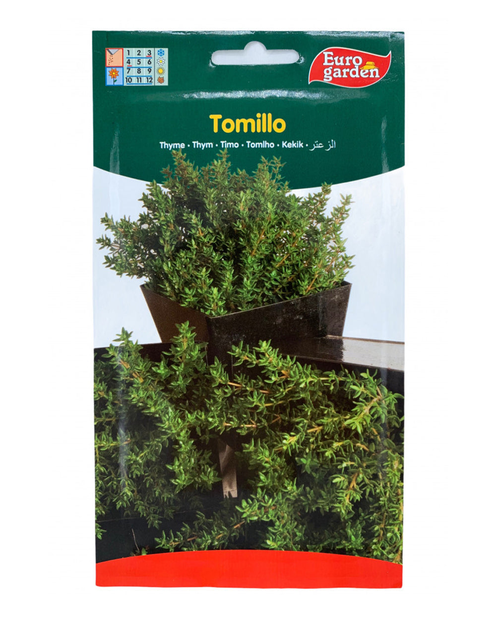Euro Garden Thyme