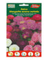 Euro Garden Aster Dwarf Queen Mixed Premium Quality Seeds