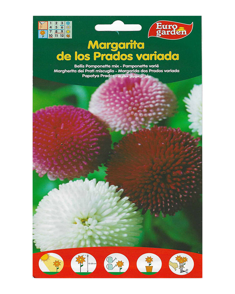 Euro Garden Belli Pomponette