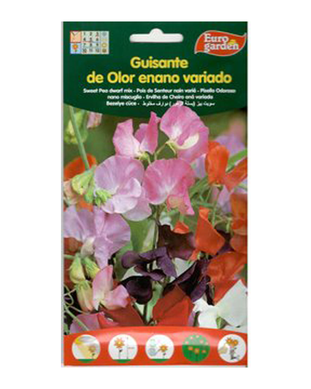Euro Garden Sweet Peas Tall Mix