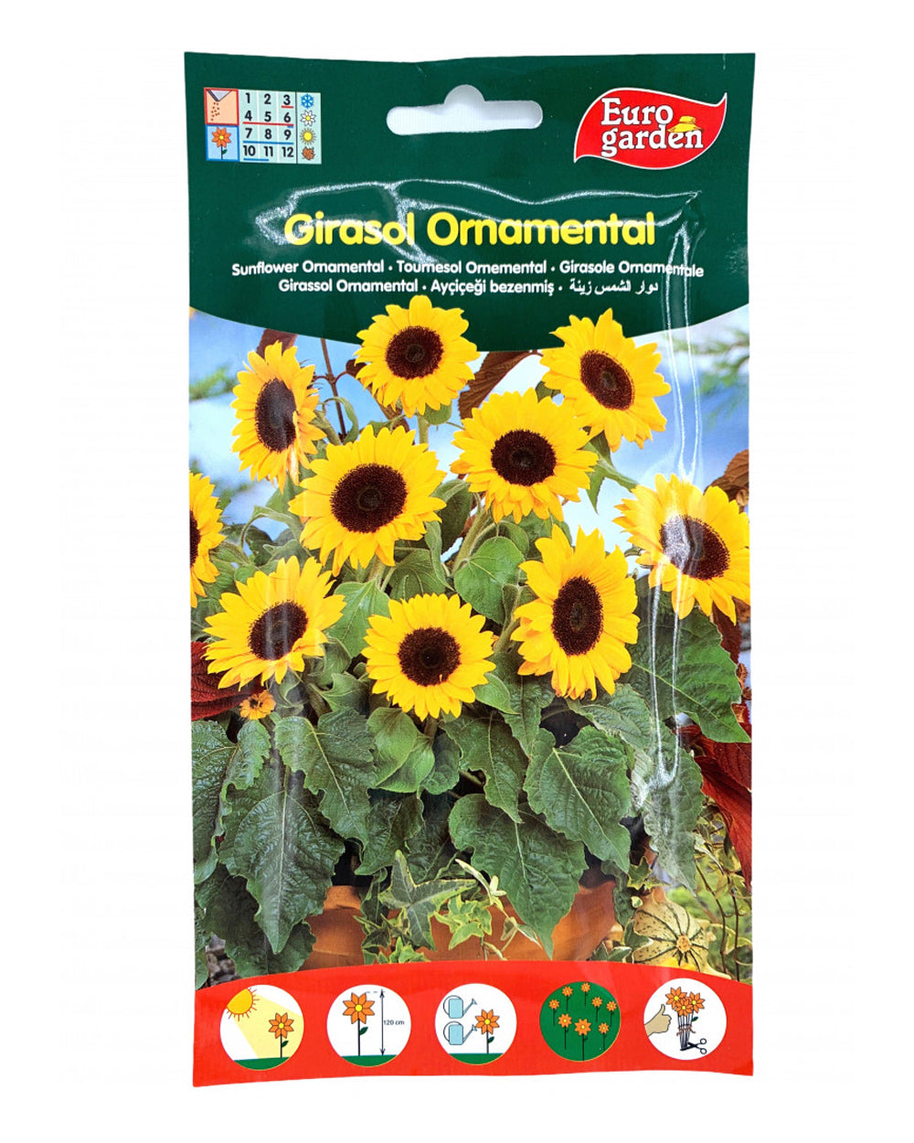 Euro Garden Sunflower