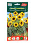 Euro Garden Sunflower
