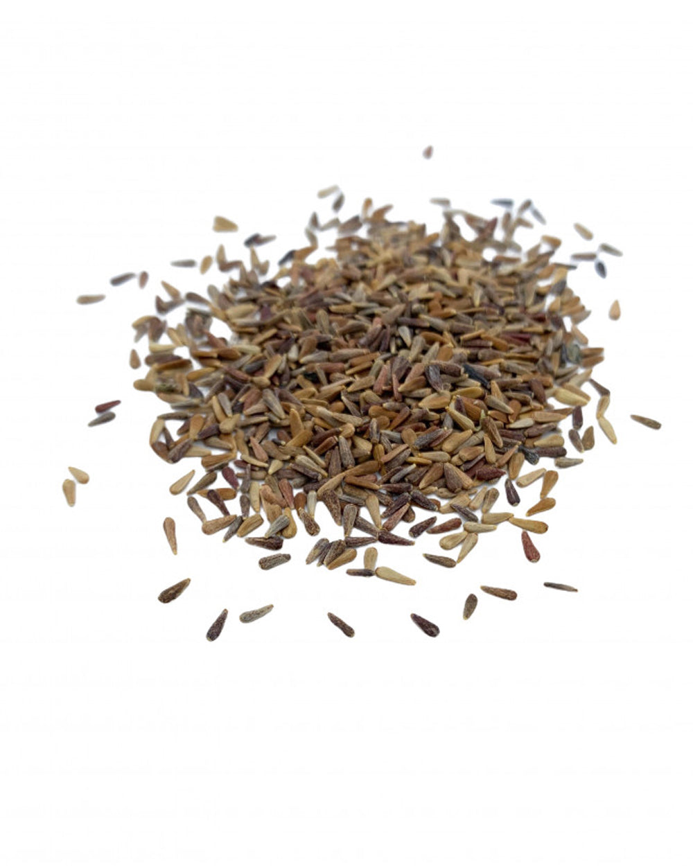Euro Garden Asterostrich Mixed