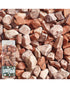 Kelkay Pot Toppers Coral Reef 1Kg