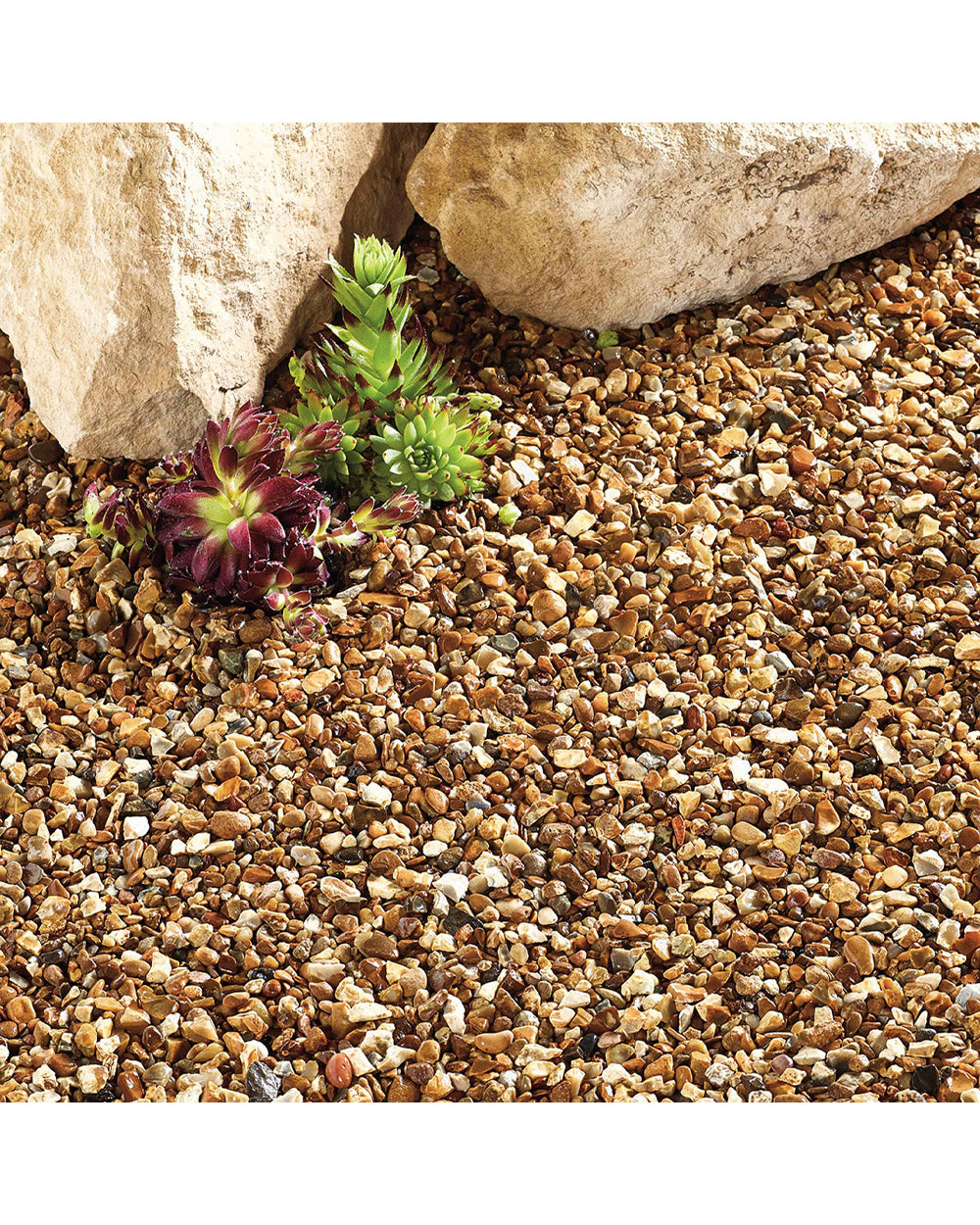 Kelkay 8 to 12mm Autumn Golden Stone