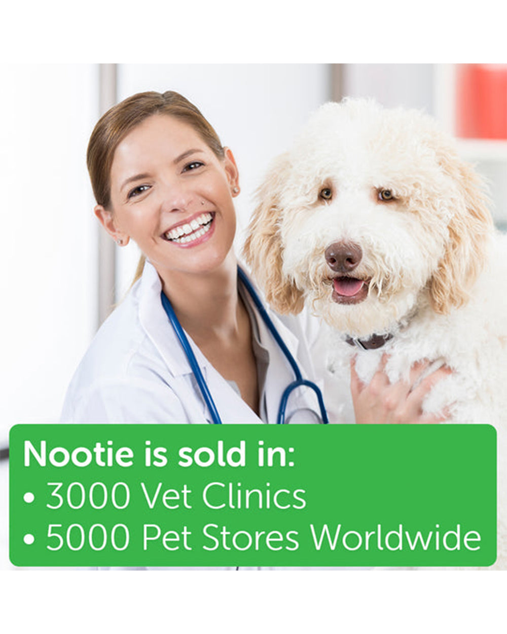 Nootie 16 Ounce Coconut Lime Verbena Hypoallergenic Pet Shampoo with Grapefruit Seed Extract