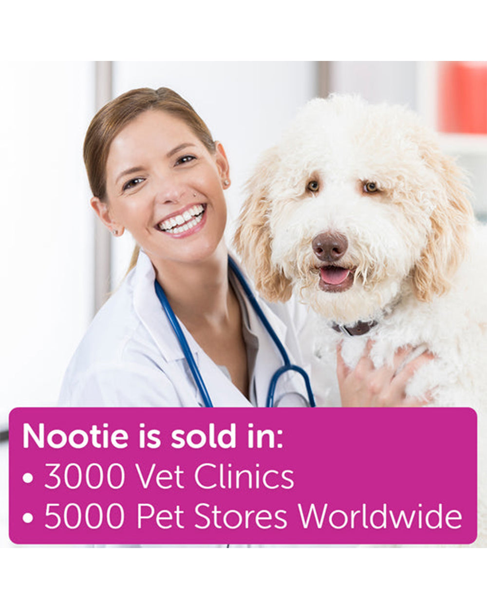 Nootie 16 Ounce Japanese Cherry Blossom Pet Shampoo