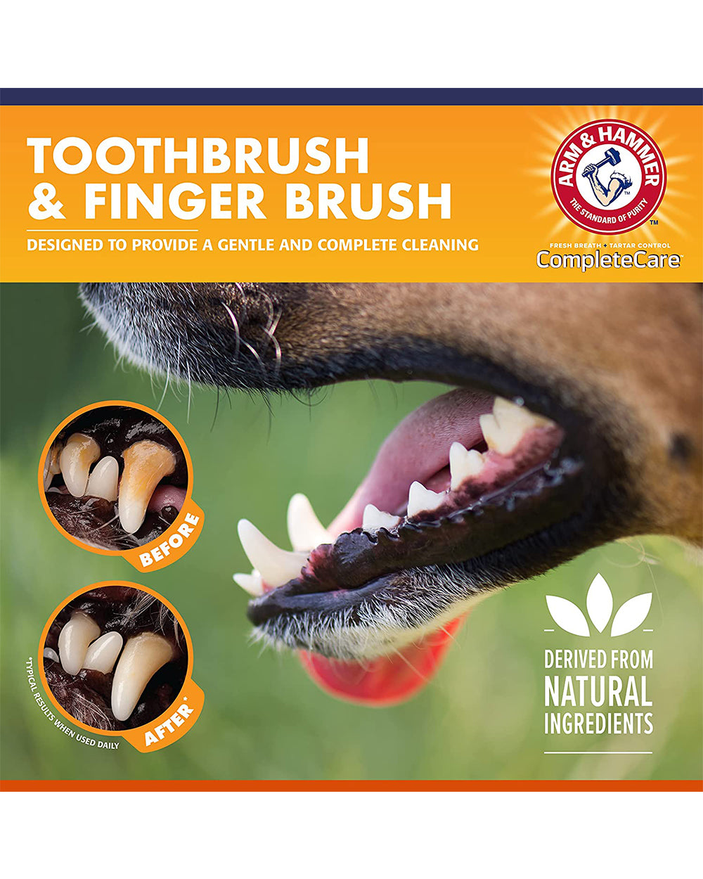 Arm & Hammer Complete Care Dog Dental Kit