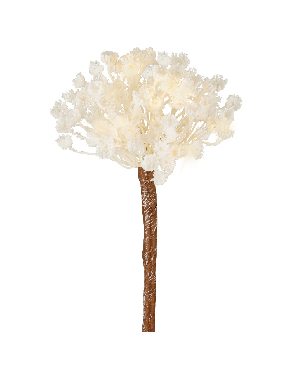 Homesmiths Micro LED Flower Plastic Steady Indoor
