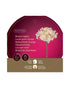 Homesmiths Micro LED Flower Plastic Steady Indoor