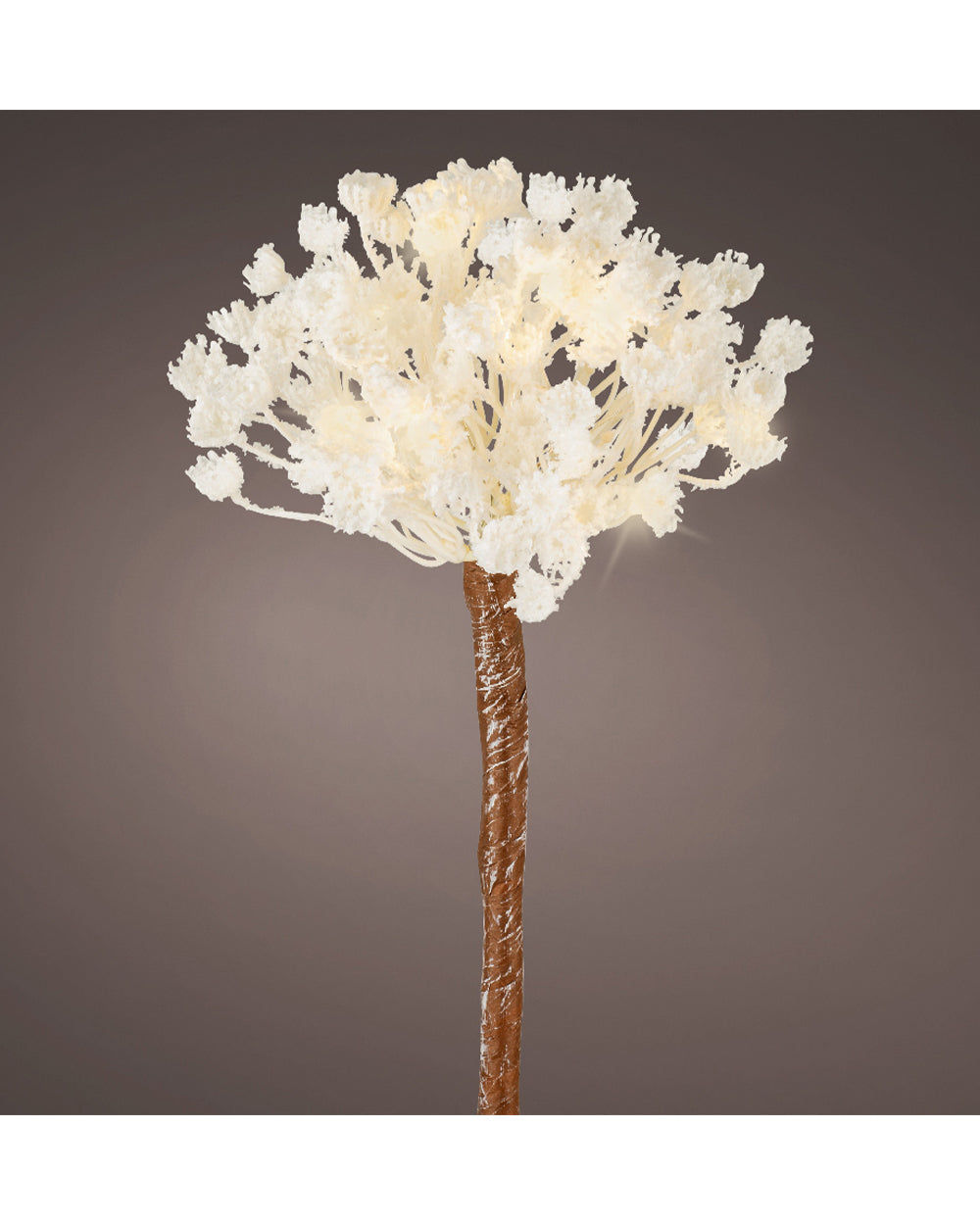 Homesmiths Micro LED Flower Plastic Steady Indoor