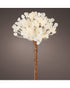 Homesmiths Micro LED Flower Plastic Steady Indoor