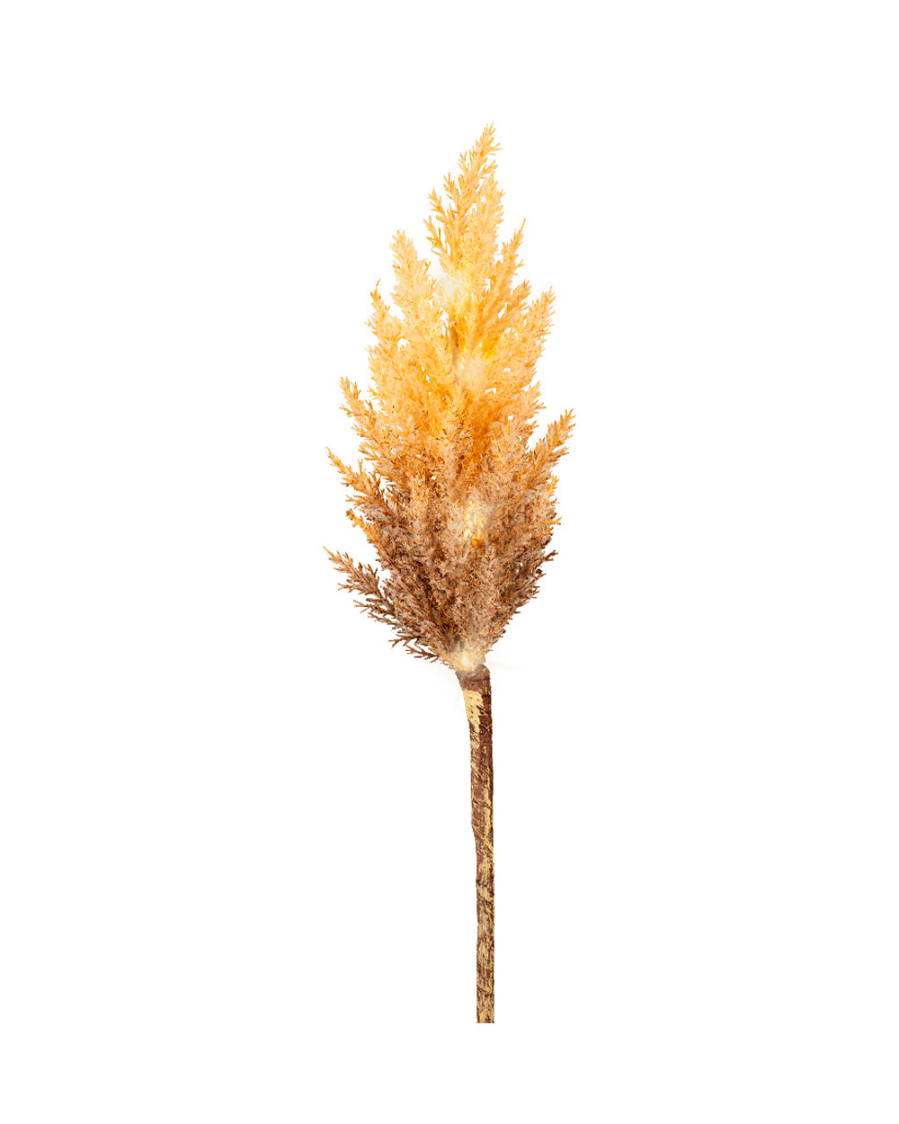 Homesmiths Micro LED Pampas Plastic Steady Indoor