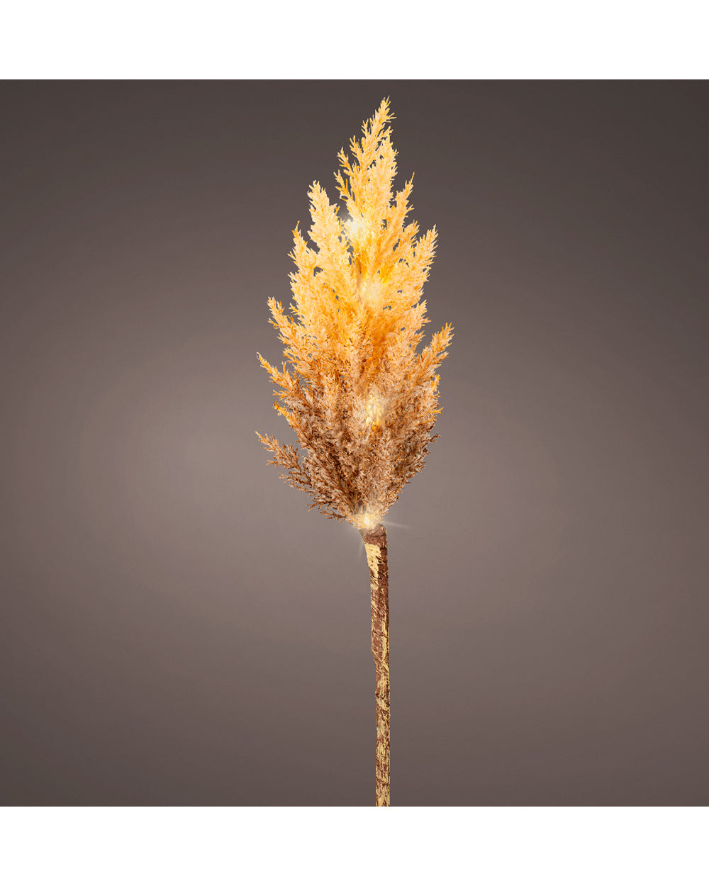 Homesmiths Micro LED Pampas Plastic Steady Indoor