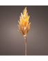 Homesmiths Micro LED Pampas Plastic Steady Indoor