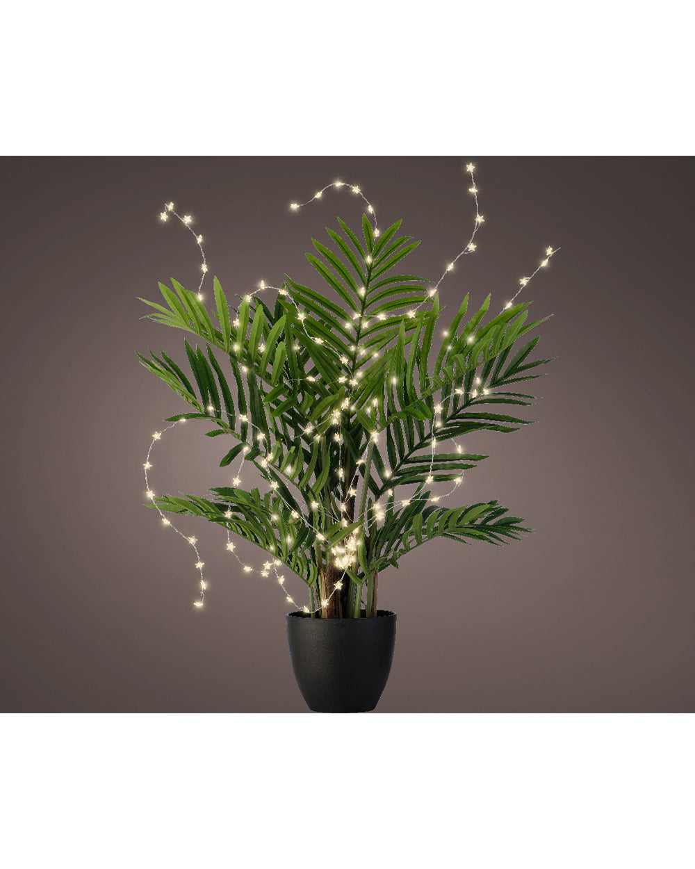 Homesmiths Micro LED  Outdoor Star Plant Lights Steady