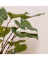 Homesmiths Micro LED  Outdoor Star Plant Lights Steady