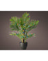 Homesmiths Outdoor Micro LED Plant Lights Steady RGB